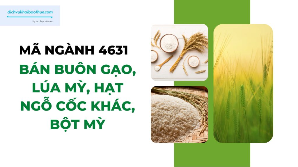 Mã ngành 4631 Bán buôn gạo, lúa mỳ, hạt ngỗ cốc khác, bột mỳ