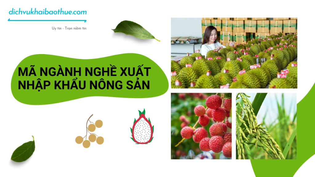 Mã ngành nghề xuất nhập khẩu nông sản