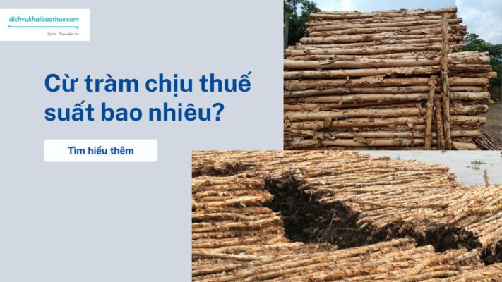 Cừ tràm chịu thuế suất bao nhiêu? Cừ tràm chịu thuế suất bao nhiêu